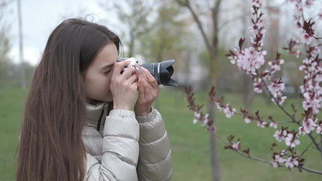 A girl photographs a flowering tree. Girl with a camera in a spring blooming park.