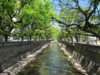Canal bordeado de arboles