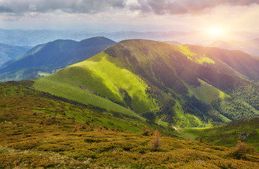 Naklejka premium Beautiful view of the tranquil alpine landscape with green meadows, trees, dark low clouds on the mountains in the background on a sunny summer day.