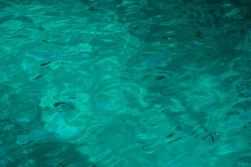 Fototapeta premium aqua blue and white sea water background