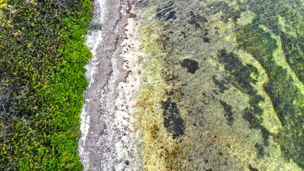 Aerial view of water and sand