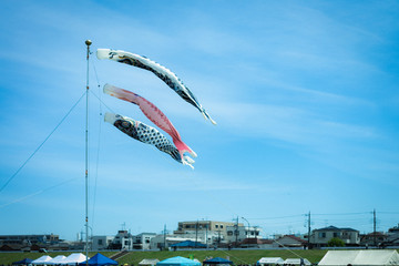 Japanese Children's Day. A carp windsock is flying in the sky.