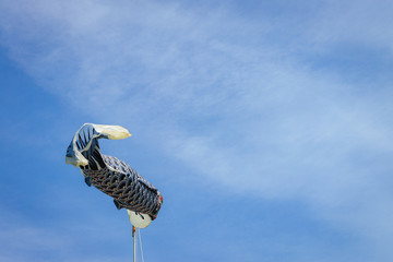 Japanese Children's Day. A carp windsock is flying in the sky.