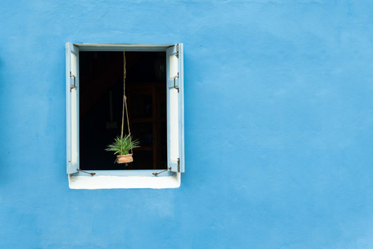 plant pot hang on blue window with wall and space for note and text.Vintage part of home concept.