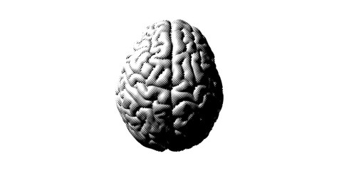 Monochrome vintage brain illustration