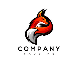 lion, head, power, king, logo, wildlife, leo, wolf, black, illustration, predator, abstract, modern, design, digital, creative