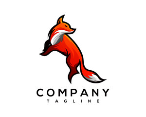 lion, head, power, king, logo, wildlife, leo, wolf, black, illustration, predator, abstract, modern, design, digital, creative