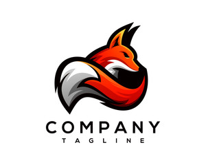 lion, head, power, king, logo, wildlife, leo, wolf, black, illustration, predator, abstract, modern, design, digital, creative