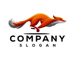 lion, head, power, king, logo, wildlife, leo, wolf, black, illustration, predator, abstract, modern, design, digital, creative