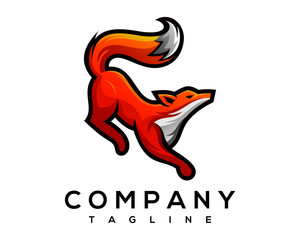 lion, head, power, king, logo, wildlife, leo, wolf, black, illustration, predator, abstract, modern, design, digital, creative