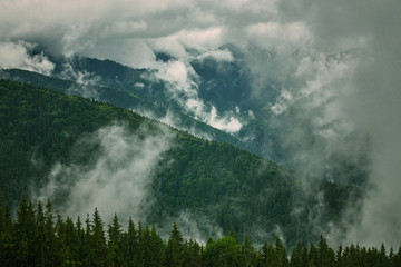 Mountain peaks in fog scenery landscape