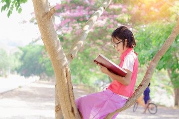 Cute little girl reading book at park in summer