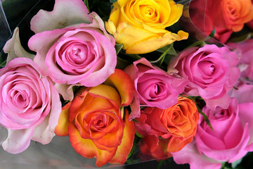 assortiment de roses