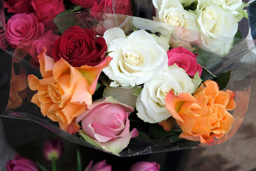 roses de couleurs