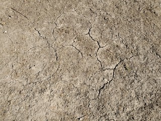 Cracked Earth