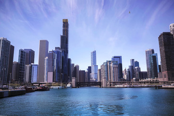 Fototapeta premium Chicago skyline