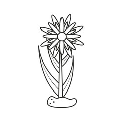 beautiful flower natural in branch and leafs