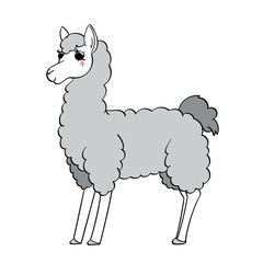 Llama
