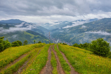 Fototapeta premium Forest road going through pine forest