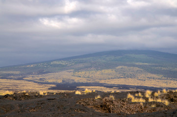 Fototapeta na wymiar Typical Big Island volcanic landscape