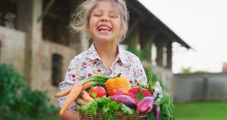 Zelfklevend Fotobehang Portret van een gelukkig klein meisje houdt een mand met verse biologische net geoogste groenten vast en lacht in de camera op een achtergrond van een boerderij op het platteland. © Kitreel