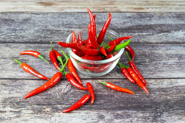 Chili - The pepper plants to the nature of the sphere of the long spikes on wood 