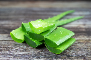 Aloe vera  the plant that yields aloe vera, products including beverages, skin lotion, cosmetics, or ointments for minor burns and sunburns. 