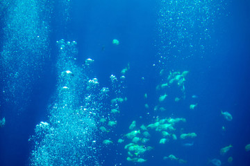 Fototapeta na wymiar A pack of air bubbles underwater