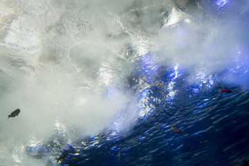 Underwater waves in aquarium tunnl