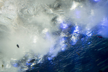 Fototapeta na wymiar Underwater waves in aquarium tunnl