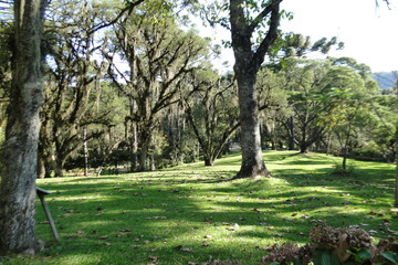 Nature 