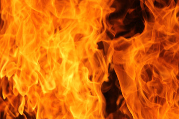 Fototapeta premium blaze fire flame texture background