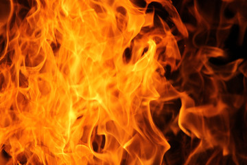 Fototapeta premium blaze fire flame texture background