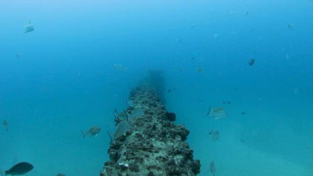 Following an underwater pipeline while scuba diving in the ocean