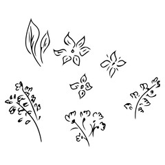 Hand Drawn Illustrations Of Abstract Peony Flower Isolated on White. Hand Drawn Sketch of a Flower. Line Art
