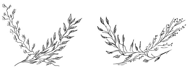 Hand Drawn Illustrations Of Two Branches With Flowers and Leaves Isolated on White. Hand Drawn Sketch of a Flowers. Line art