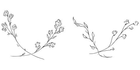 Hand Drawn Illustrations Of Two Branches With Flowers and Leaves Isolated on White. Hand Drawn Sketch of a Flowers. Line art - 265731560