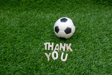 Soccer football with thank you word are on green grass