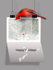 Here is an illustration for people who don't like the holiday season. A red cardinal sits atop of Christmas card that features a cardinal in a photograph. And the bird has defecated on the card below.