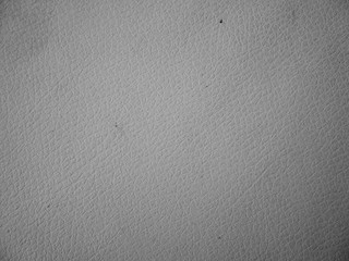 texture of gray leather skin