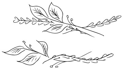 Hand Drawn Illustrations Of Two Branches With Flowers and Leaves Isolated on White. Hand Drawn Sketch of a Flowers. Line art