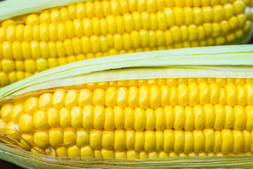 fresh corn
