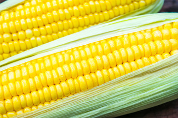 fresh corn