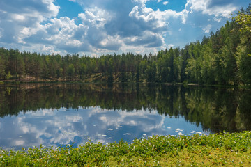 Beautiful and calm lake surrounded by coniferous forest