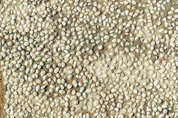 Texture of round stones with spruce needles
