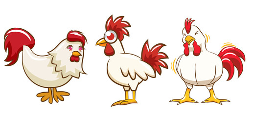 chicken vector 
