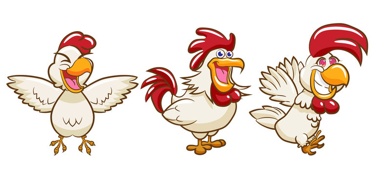 chicken vector graphic design
