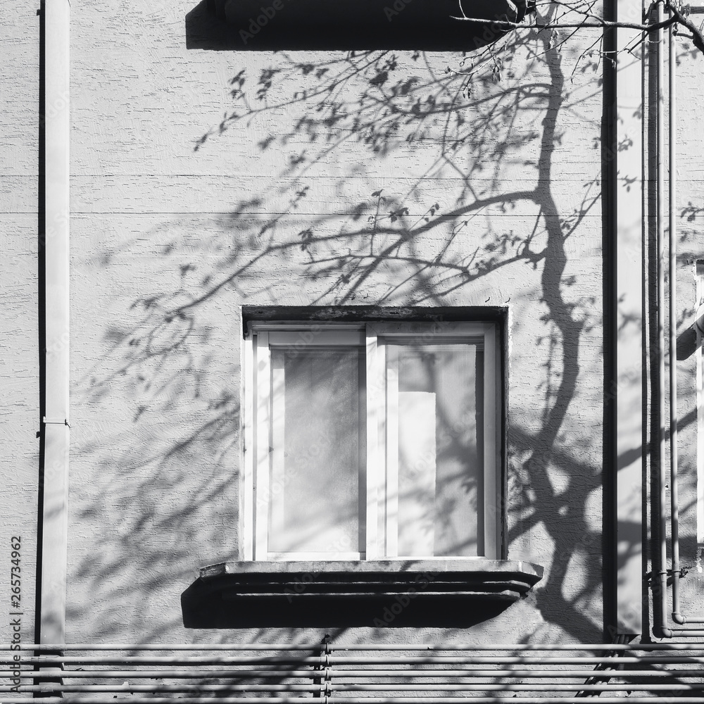 Aufkleber Window frame building with Tree branch Silhouette shadow Silhouette Architecture Abstract background