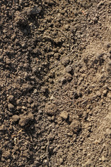  Soil texture in a spring time.