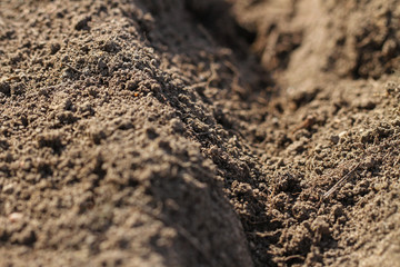  Soil texture in a spring time.